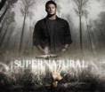 /album/kepgaleria-dean/supernatural-supernatural-4527112-1280-1024-2-jpg/